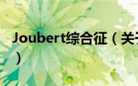 Joubert综合征（关于Joubert综合征的简介）
