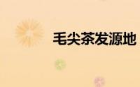 毛尖茶发源地（毛尖茶产地）