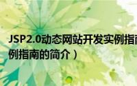 JSP2.0动态网站开发实例指南（关于JSP2.0动态网站开发实例指南的简介）