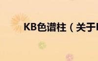 KB色谱柱（关于KB色谱柱的简介）