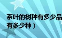 茶叶的树种有多少品种?（茶树的品种在中国有多少种）