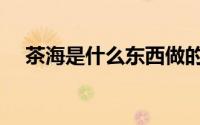 茶海是什么东西做的（茶海是什么东西）