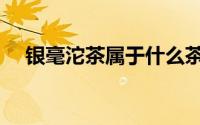 银毫沱茶属于什么茶（沱茶属于什么茶）