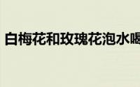 白梅花和玫瑰花泡水喝的功效上海14+7加码