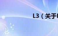 L3（关于L3的简介）