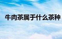 牛肉茶属于什么茶种（牛肉茶属于什么茶）