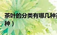 茶叶的分类有哪几种英文（茶叶的分类有哪几种）