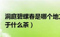 洞庭碧螺春是哪个地方的名茶（洞庭碧螺春属于什么茶）