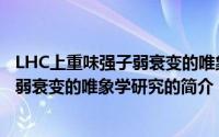 LHC上重味强子弱衰变的唯象学研究（关于LHC上重味强子弱衰变的唯象学研究的简介）