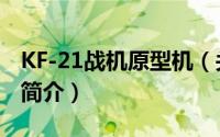 KF-21战机原型机（关于KF-21战机原型机的简介）