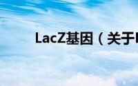 LacZ基因（关于LacZ基因的简介）