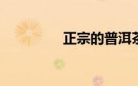 正宗的普洱茶产地是哪里