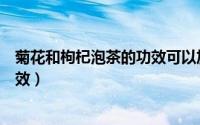 菊花和枸杞泡茶的功效可以加蜂蜜吗（菊花和枸杞泡茶的功效）