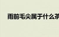 雨前毛尖属于什么茶（毛尖属于什么茶）