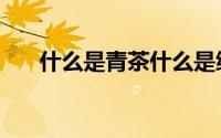 什么是青茶什么是绿茶（什么是青茶）