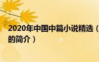 2020年中国中篇小说精选（关于2020年中国中篇小说精选的简介）