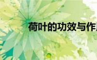 荷叶的功效与作用 荷叶食用禁忌