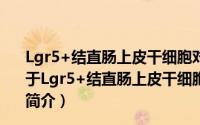 Lgr5+结直肠上皮干细胞对电离辐射的反应及机理研究（关于Lgr5+结直肠上皮干细胞对电离辐射的反应及机理研究的简介）