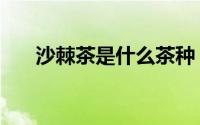 沙棘茶是什么茶种（沙棘茶是什么茶）