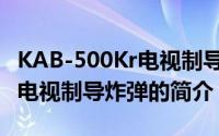 KAB-500Kr电视制导炸弹（关于KAB-500Kr电视制导炸弹的简介）