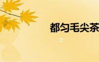 都匀毛尖茶产地在哪里