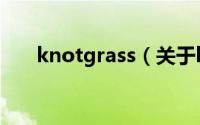 knotgrass（关于knotgrass的简介）