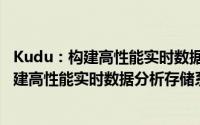 Kudu：构建高性能实时数据分析存储系统（关于Kudu：构建高性能实时数据分析存储系统的简介）