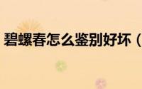 碧螺春怎么鉴别好坏（碧螺春怎么看出好坏）