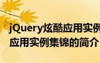 jQuery炫酷应用实例集锦（关于jQuery炫酷应用实例集锦的简介）