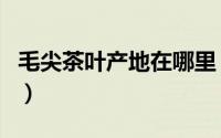 毛尖茶叶产地在哪里（毛尖茶产地是什么地方）