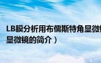 LB膜分析用布儒斯特角显微镜（关于LB膜分析用布儒斯特角显微镜的简介）