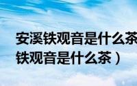 安溪铁观音是什么茶,发酵程度是什么（安溪铁观音是什么茶）