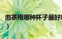 泡茶用哪种杯子最好喝（泡茶用哪种杯子最好）