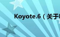 Koyote.6（关于Koyote.6的简介）