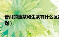 普洱的熟茶和生茶有什么区别（普洱茶生茶和熟茶有什么区别）