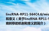 lincRNA-RP11-564C4.6/microRNA-195回路调控肝癌转移的机制和意义（关于lincRNA-RP11-564C4.6/microRNA-195回路调控肝癌转移的机制和意义的简介）