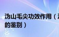 沩山毛尖功效作用（沩山毛尖特征和沩山毛尖的鉴别）