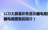 LCD大屏幕彩色显示器电路图集（关于LCD大屏幕彩色显示器电路图集的简介）