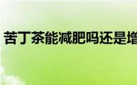 苦丁茶能减肥吗还是增肥（苦丁茶能减肥吗）