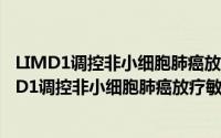 LIMD1调控非小细胞肺癌放疗敏感性的机制研究（关于LIMD1调控非小细胞肺癌放疗敏感性的机制研究的简介）