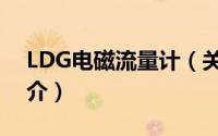 LDG电磁流量计（关于LDG电磁流量计的简介）