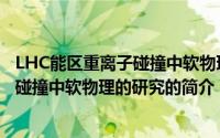 LHC能区重离子碰撞中软物理的研究（关于LHC能区重离子碰撞中软物理的研究的简介）
