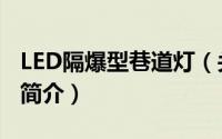 LED隔爆型巷道灯（关于LED隔爆型巷道灯的简介）