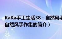 KaKa手工生活38：自然风手作集（关于KaKa手工生活38：自然风手作集的简介）