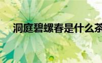 洞庭碧螺春是什么茶（碧螺春是什么茶）