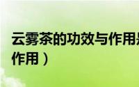 云雾茶的功效与作用是什么（云雾茶的功效与作用）