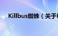 Killbus蜘蛛（关于Killbus蜘蛛的简介）