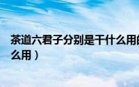 茶道六君子分别是干什么用的（茶道六君子是哪六种茶具怎么用）