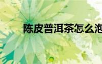 陈皮普洱茶怎么泡（普洱茶怎么泡）