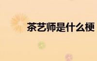 茶艺师是什么梗（茶艺师是什么）